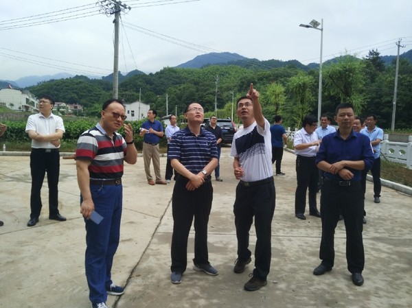督导调研现场（金寨县槐树湾乡板棚村前进组公路崩塌）.jpg