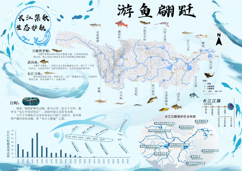02 鱿鱼票月.png